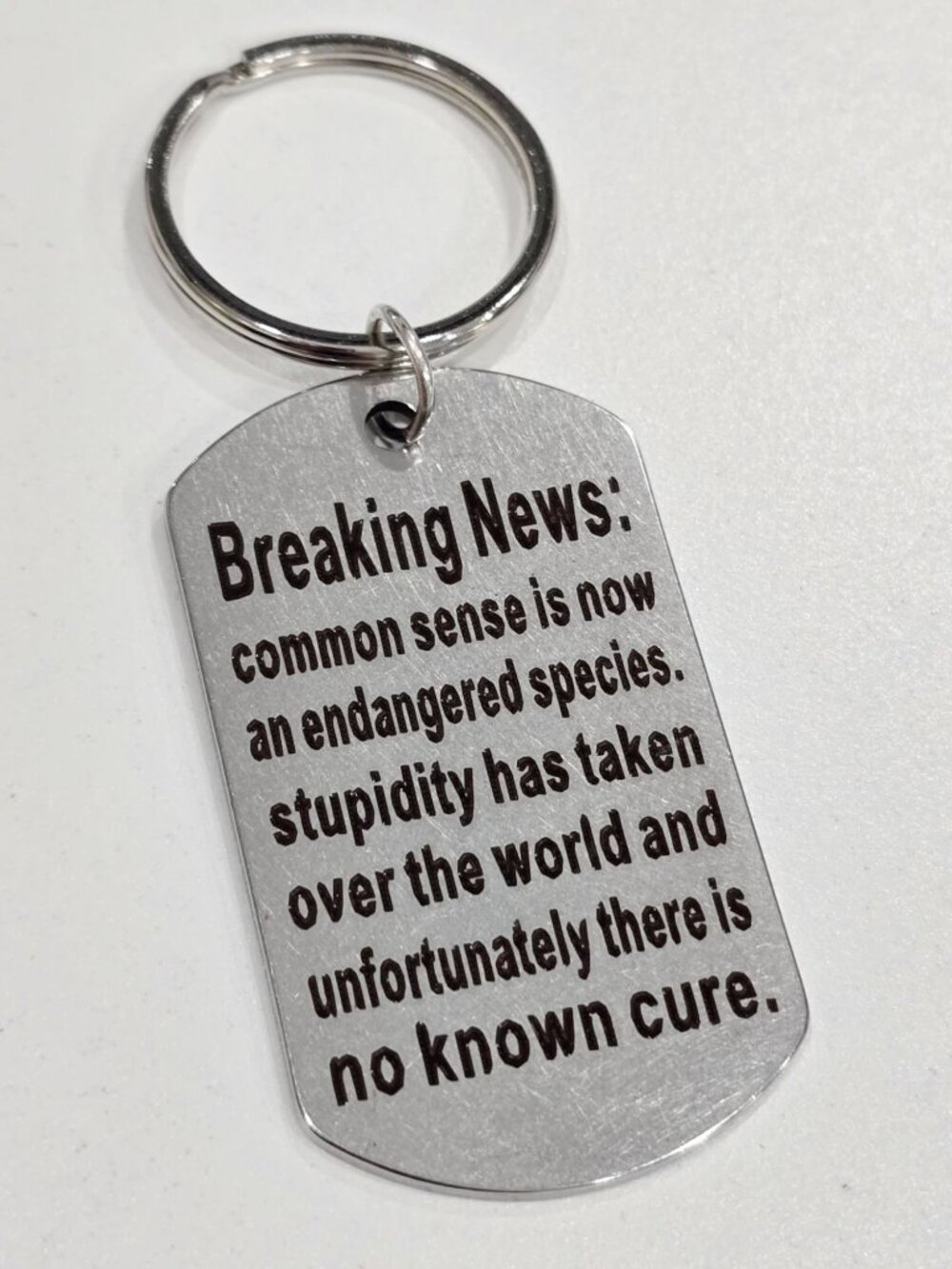 Artisan Breaking News Common Sense Sarcastic Joke Stainless Steel Keyring New